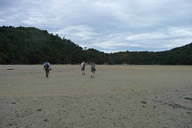 Nieuw-Zeeland 2011 - 1047